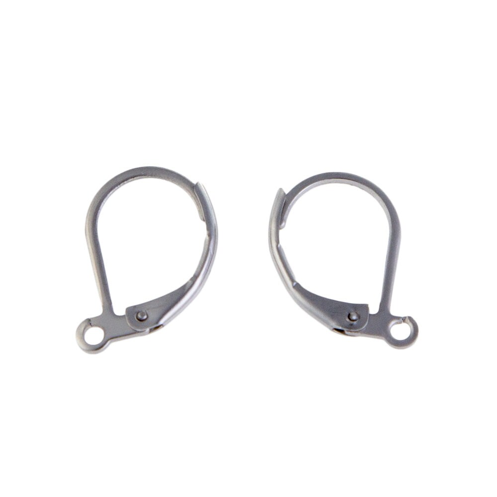 Surgical Stainless Steel Lever Back Earring Finding (Package of 2)