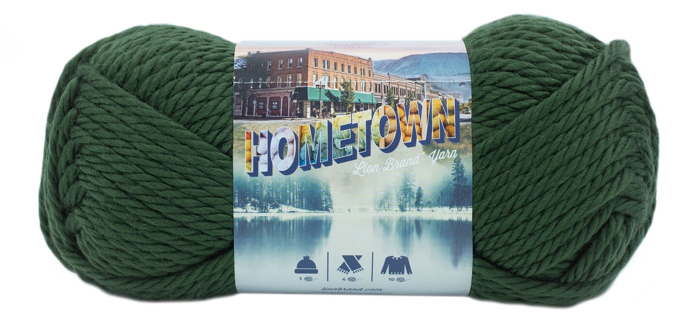 Lion Brand Hometown Yarn-Ashland Pine