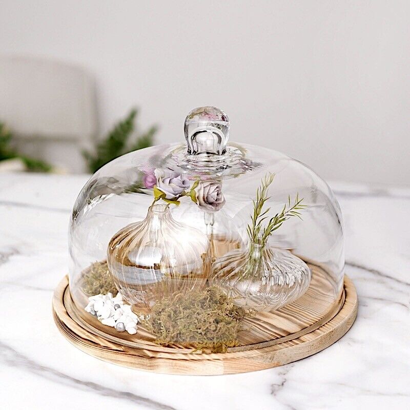 8-Inch Clear Natural Glass Cloche Display Dome Wooden Base CAKE STAND