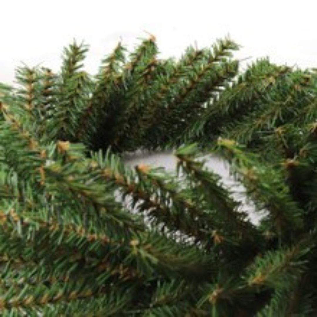 Canadian Pine Wreath with 120 Lifelike Green Tips | 12&#x22; Wide | Indoor/Outdoor Use | Holiday Xmas Accents | Christmas Wreaths | Home &#x26; Office Decor