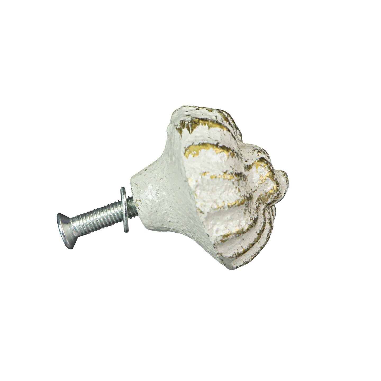 Cast Iron Nautilus Shell Drawer Pull Decorative Cabinet Knob Nautical Set of 6