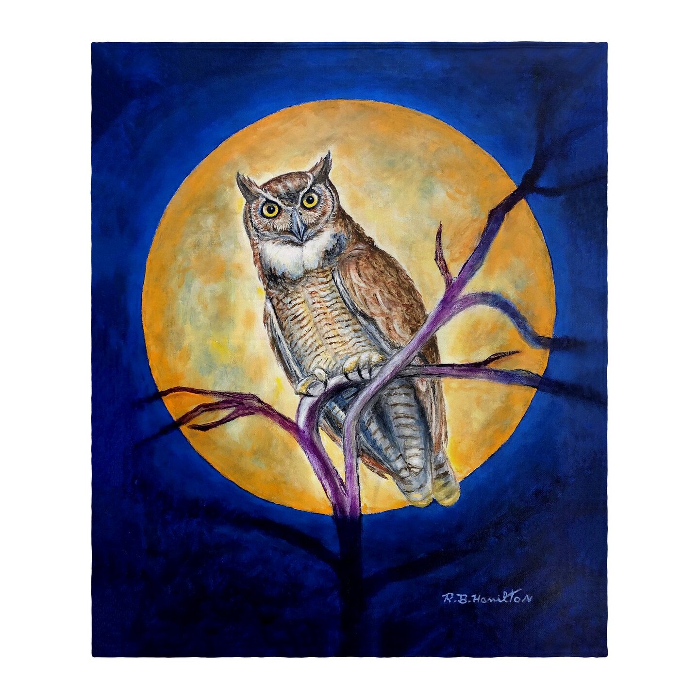 Betsy Drake Owl in Moon Throw