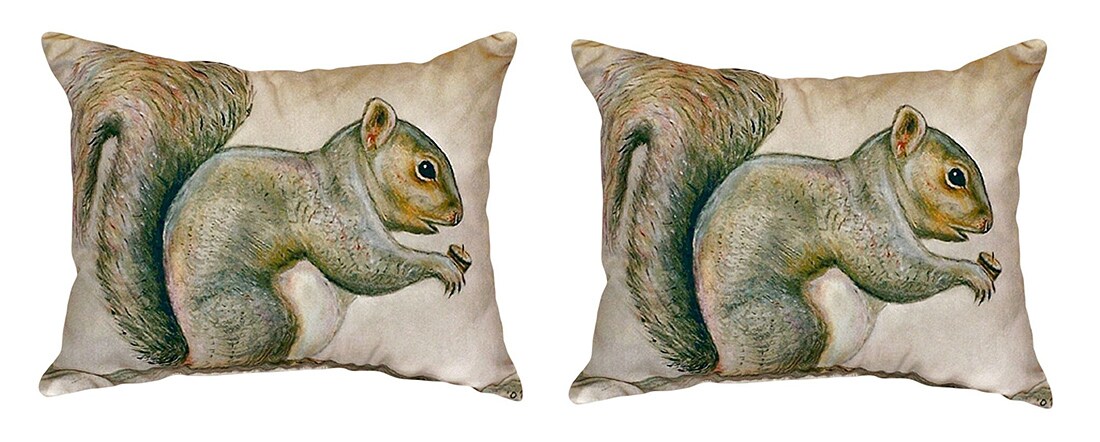 Pair of Betsy Drake Squirrel No Cord Pillows 15 Inch X 22 Inch