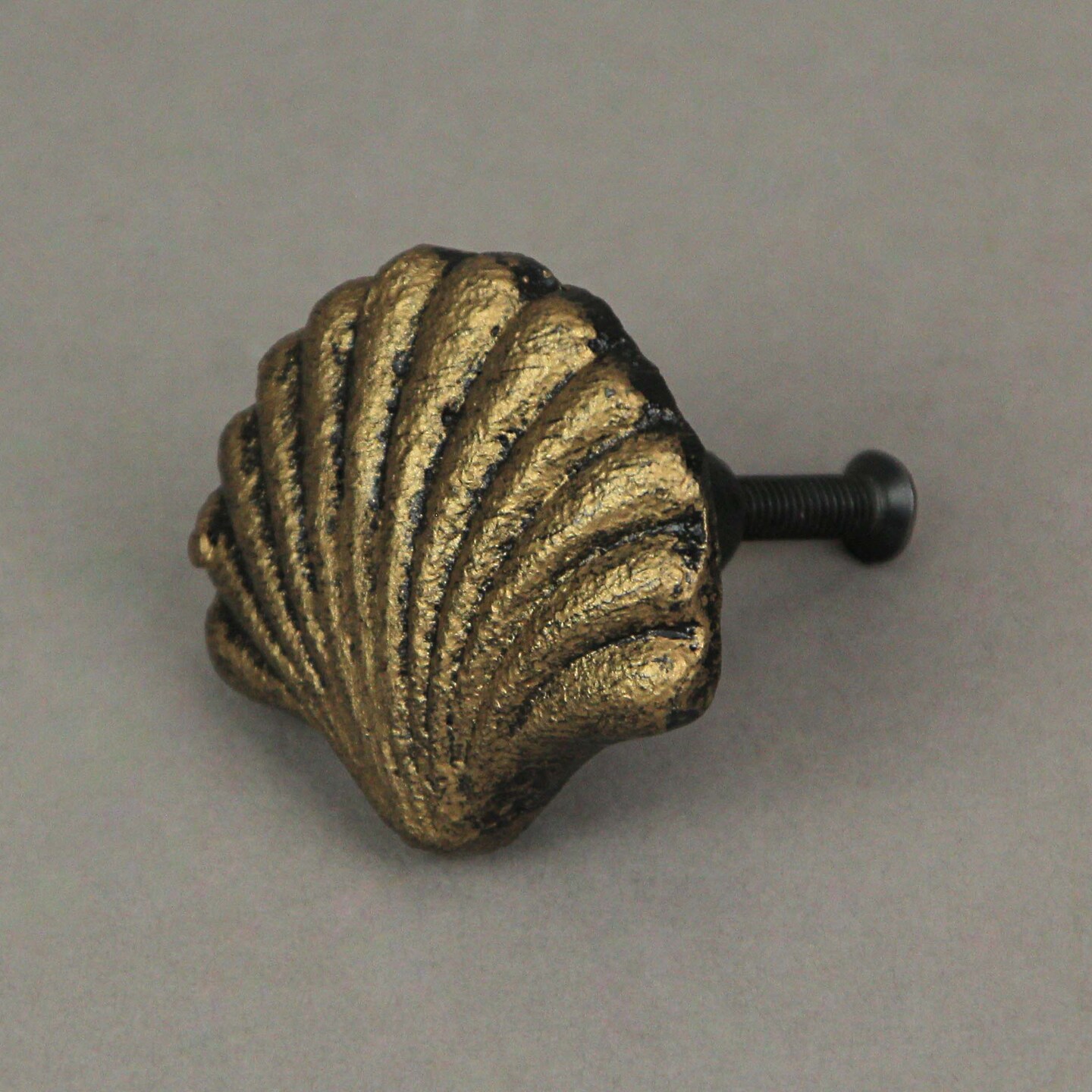 Set of 6 Cast Iron Scallop Sea Shell Drawer Pulls Nautical Cabinet Knobs