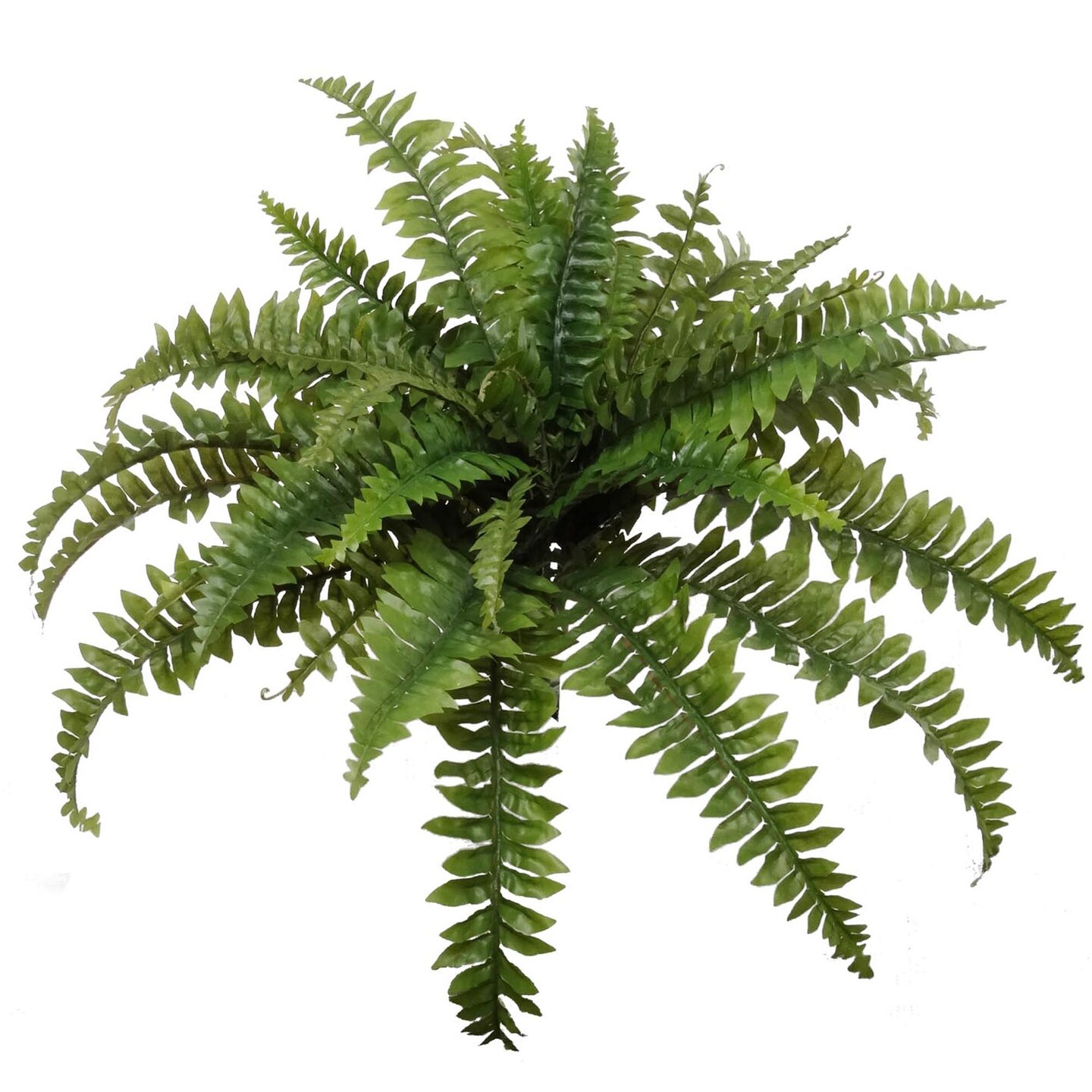 Boston Fern Plant with 35 Realistic Silk Fronds, 34&#x22; Wide, UV Resistant, Faux Greenery by Floral Home&#xAE;