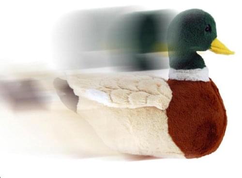 Duck Dynasty 8.5&#x22; Talking Duck Plush
