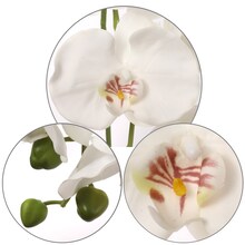 12-Pack: White Phalaenopsis Orchid Stem with 9 Silk Flowers, Floral Home by Artificial Flowers