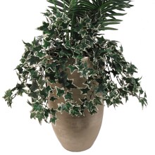 Mini Green &#x26; White English Ivy Bush with Silk Foliage by Floral Home&#xAE;