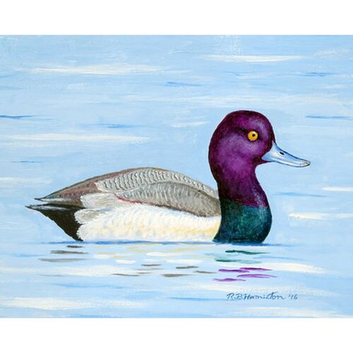 Betsy Drake Lesser Scaup Duck 30 X 50 Inch Comfort Floor Mat