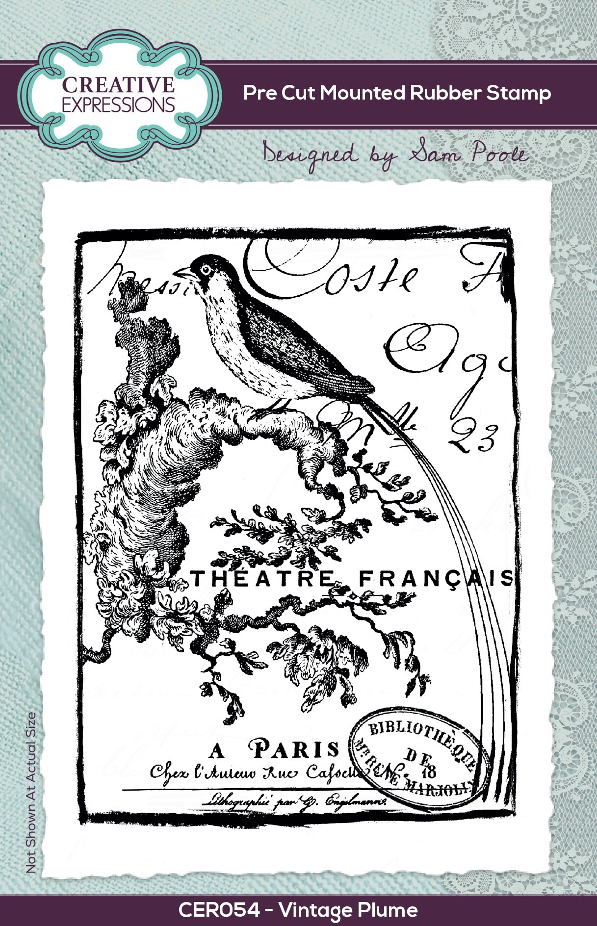 Creative Expressions Pre Cut Rubber Stamp 4"X6" By Sam Poole-Vintage Plume