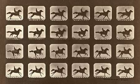 Motion Study: Man Riding A Galloping Horse Poster Print by Eadweard Muybridge - Item # VARPDX474188