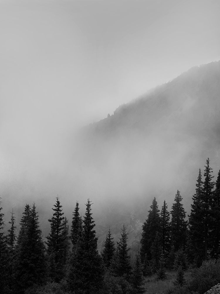 Smokey Mountains by Leah Straatsma - Item # VARPDXLSRC374A