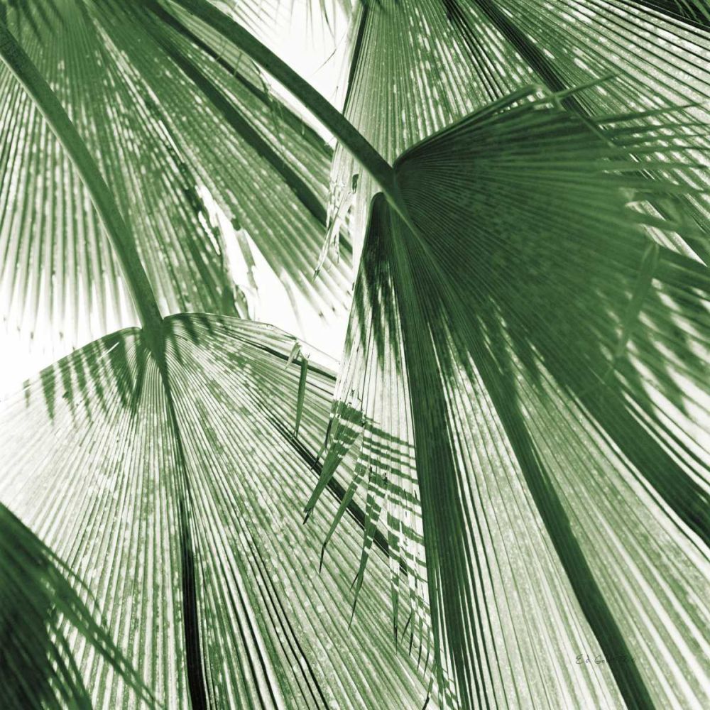 Leaf Abstract III Green by Ed Goldstein - Item # VARPDX66125
