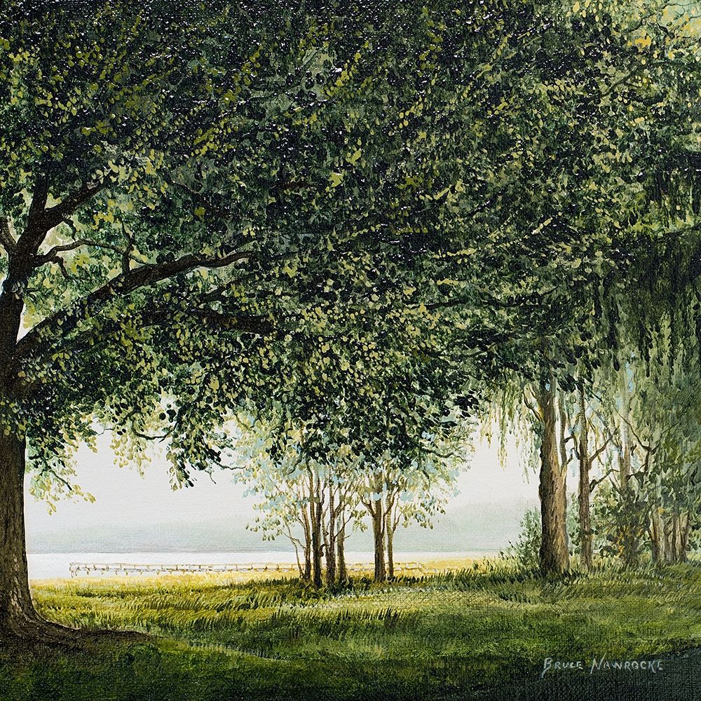 Lake Shore Drive II Poster Print by Bruce Nawrocke # 8978