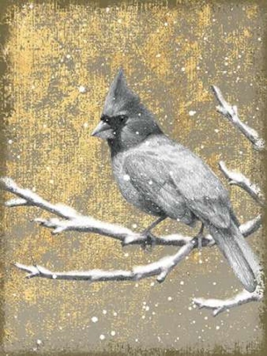 Winter Birds Cardinal Neutral Poster Print by Beth Grove - Item # VARPDX21944