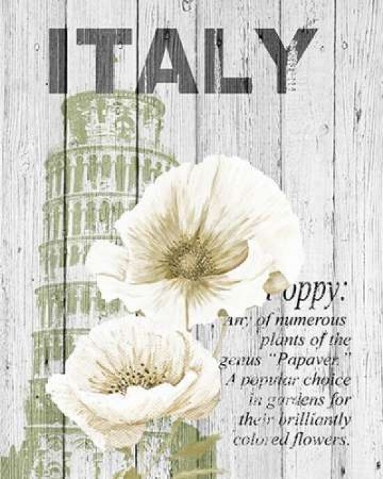Italy Poppies Poster Print by Alicia Soave - Item # VARPDXS1327D