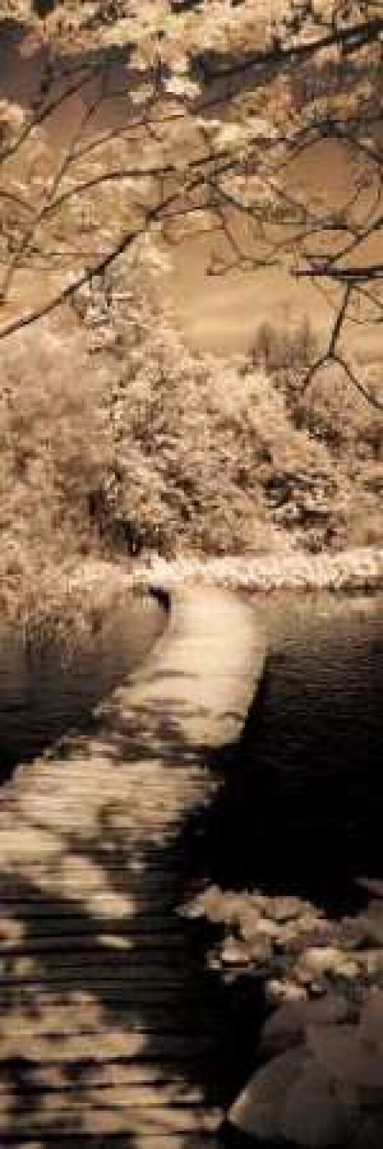 A Quiet Stroll II Poster Print by Ily Szilagyi - Item # VARPDXSIP228