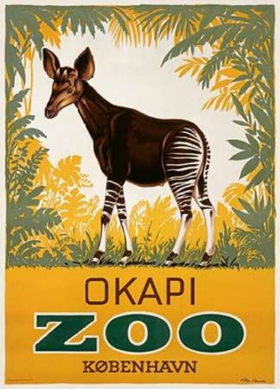 K??benhavn Zoo/Okapi Poster Print by Aage Lippert - Item # VARPDX295914