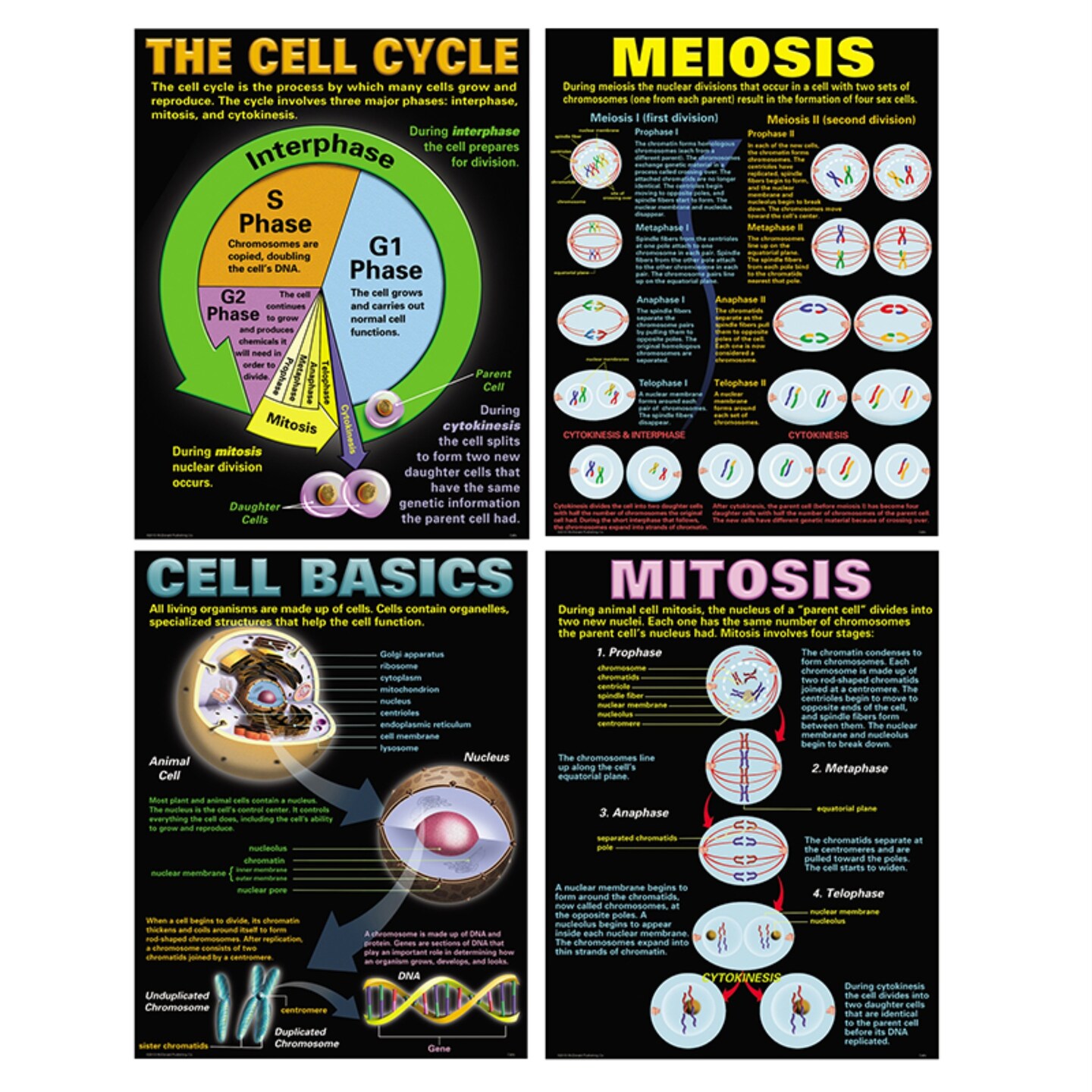 Cells Teaching Poster Set