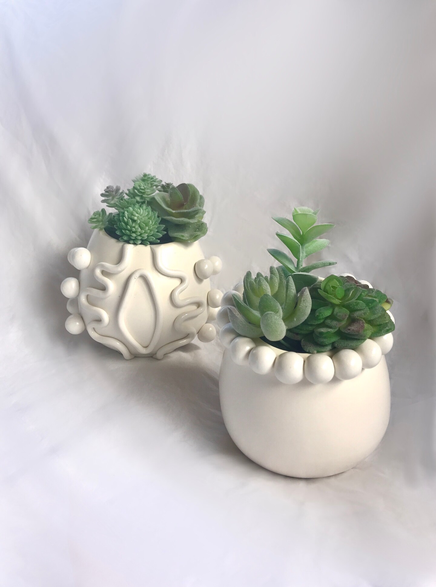 aglaonema angel wings Aglaonema Angel Small Plant main image 1
