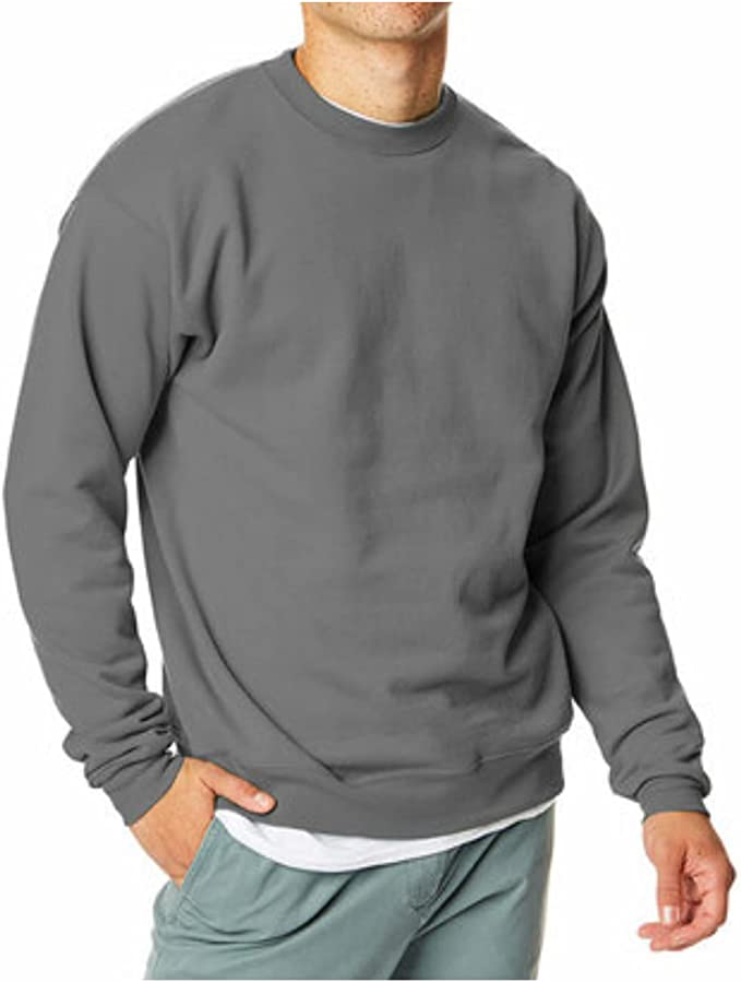 Hanes men's hotsell ecosmart fleece sweatshirt