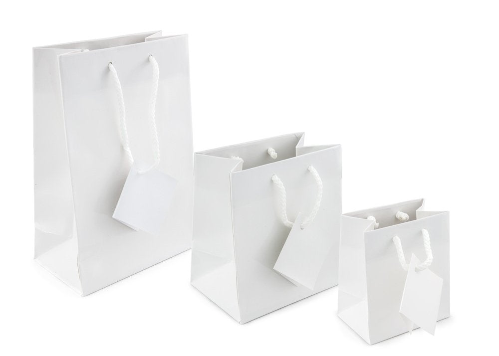 Gift Bag Mini Glossy White (Package of 20)