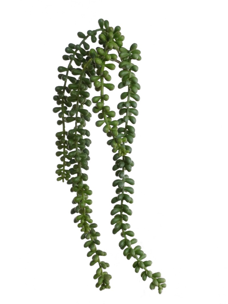 12-Pack: Green Beaded Succulent Plant, 16.5&#x22; Long by Floral Home&#xAE;
