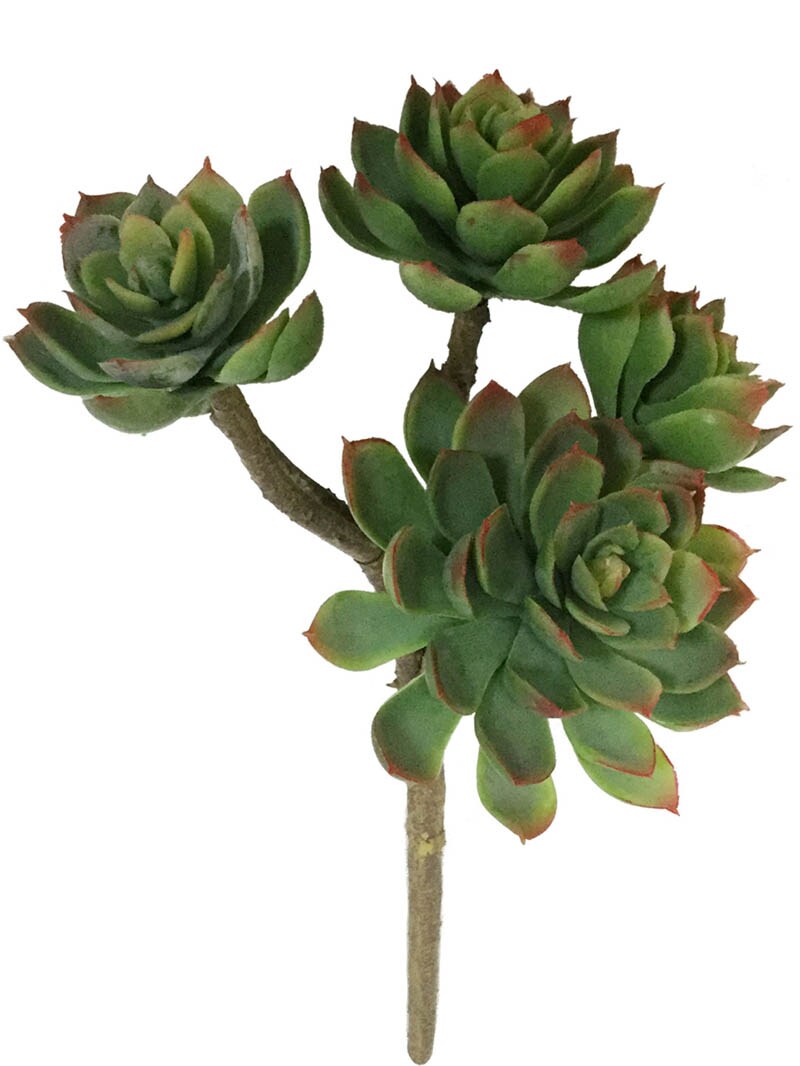 12-Pack: Real Touch Echeveria Succulent Plant, 2.5" Wide by Floral Home®