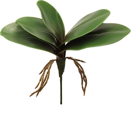 10.5&#x22; Green Phalaenopsis Leaf Cluster - Lifelike Artificial Foliage for Home Decor, Floral Arrangements, and Crafting