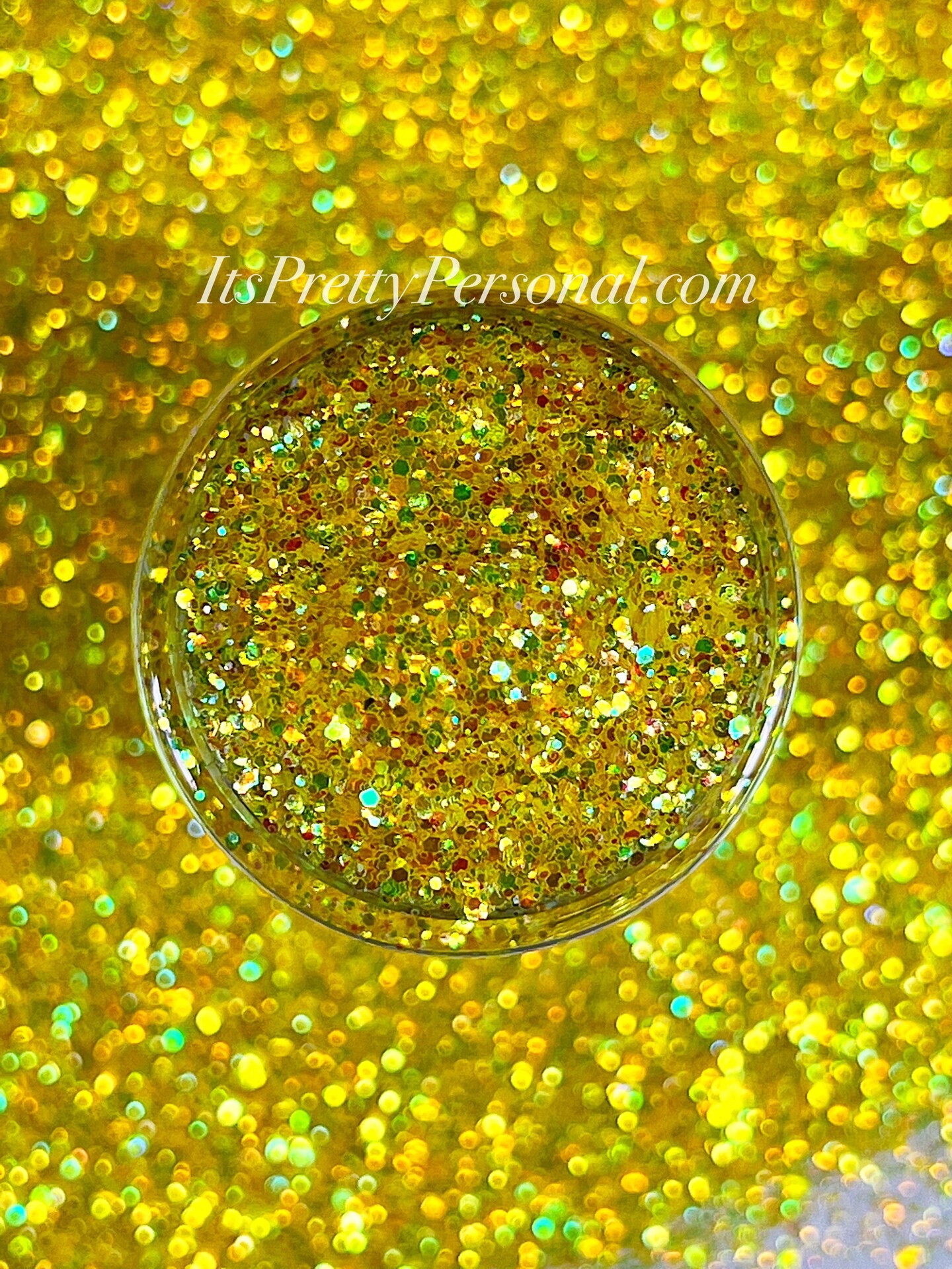 "Wheels On The Bus"- SCHMEDIUM CUT- Maker Monthly Box Color (Tart)