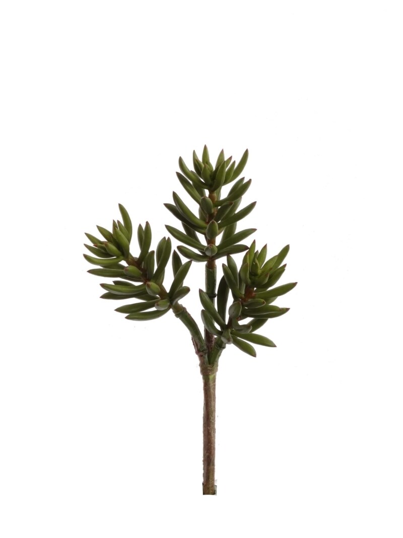 Sedum Succulent Plant Spray: Set of 6, 13-Inch, 6&#x22; Wide by Floral Home&#xAE;