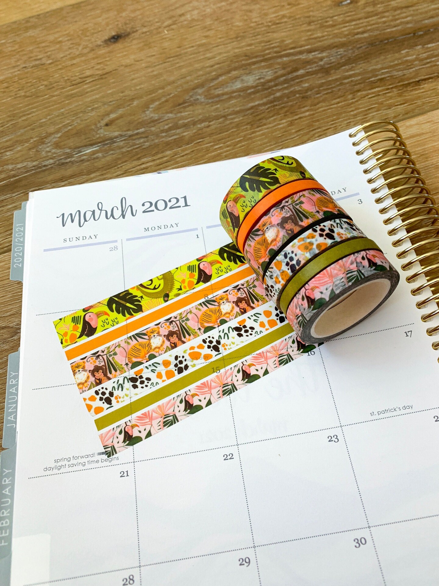 Jungle Lush Tropical Tigers Monkeys Birds & Zebras Green & Orange Washi Tape Set (#W020)