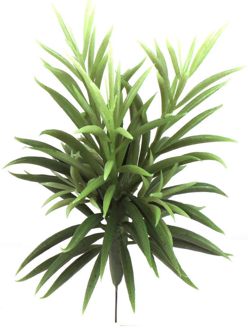 Lush 8&#x22; Senecio Succulents, Bulk Pack of 24 - Ideal for Indoor Plant Decor, Outdoor Gardens, and DIY Terrarium Projects - Low-Maintenance Greenery to Enhance Any Space, Floral Home by Artificial Flowers