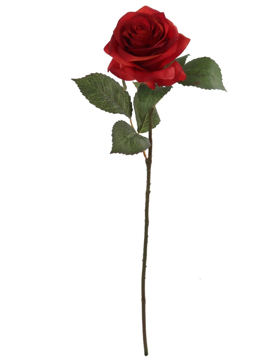48-Pack: Red Open Rose Stem with Lifelike Silk Foliage by Floral Home®