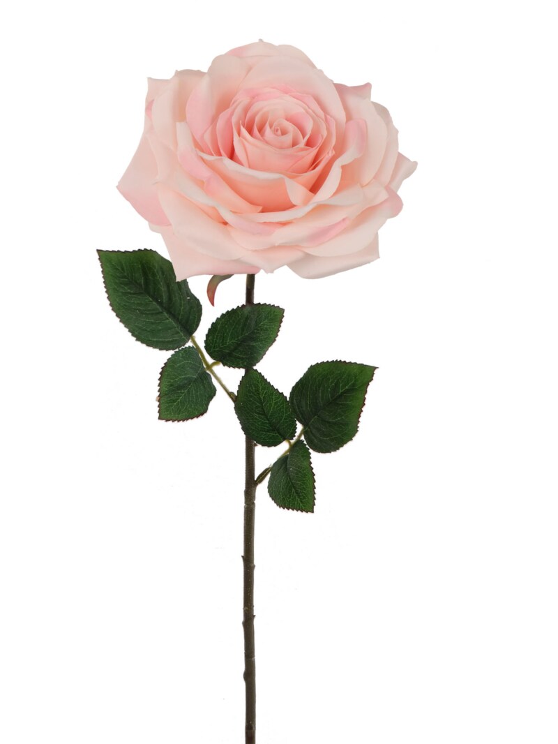 12-Pack: Light Pink Open Rose Stem with Silk Foliage by Floral Home&#xAE;