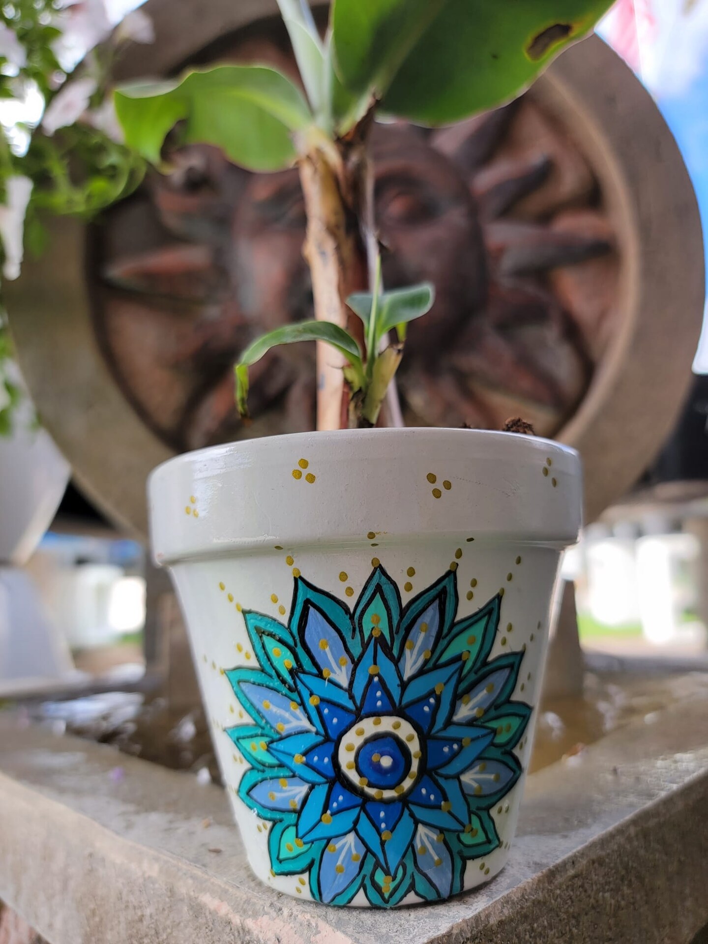 aqua plant pots Pie Rim Self-Watering Pot — Green Acres Nursery & Supply