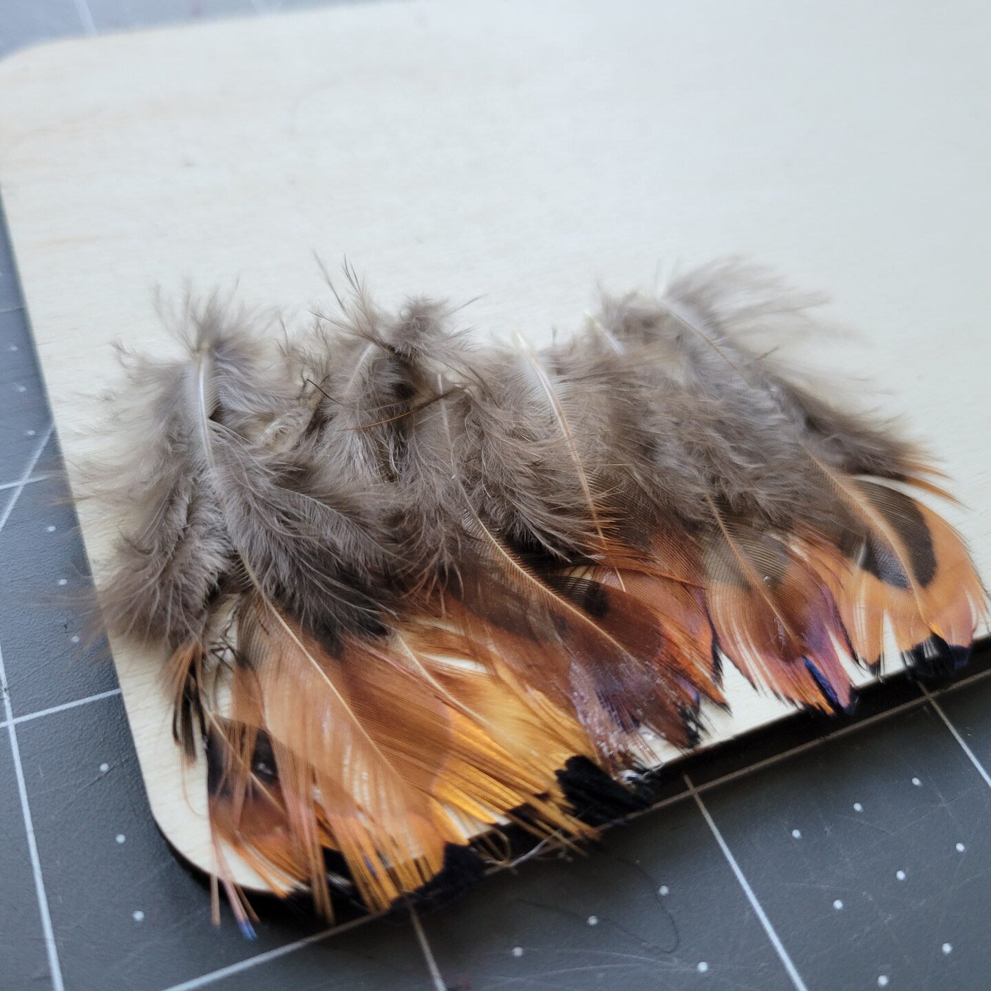Fur, Scales, and Feathers Sorting Activity image 5