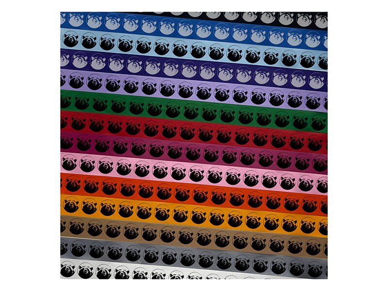Bear Head Satin Ribbon for Bows Gift Wrapping DIY Craft Projects - 1&#x22; - 3 Yards