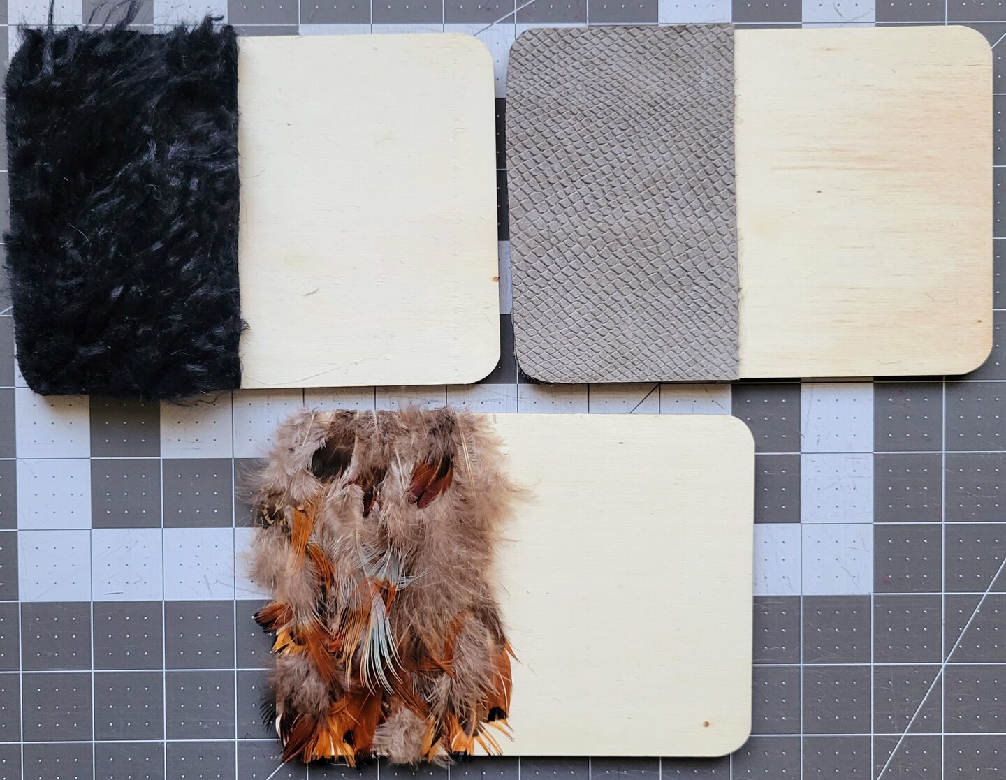 Fur, Scales, and Feathers Sorting Activity image 3