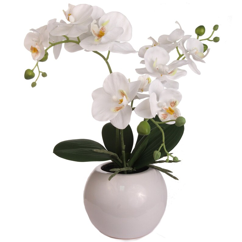 Stylish Set of 2 - 16.5&#x22; Phalaenopsis Orchid Floral Arrangements - Perfect for Elegant Home Decor, Floral Home by Artificial Flowers