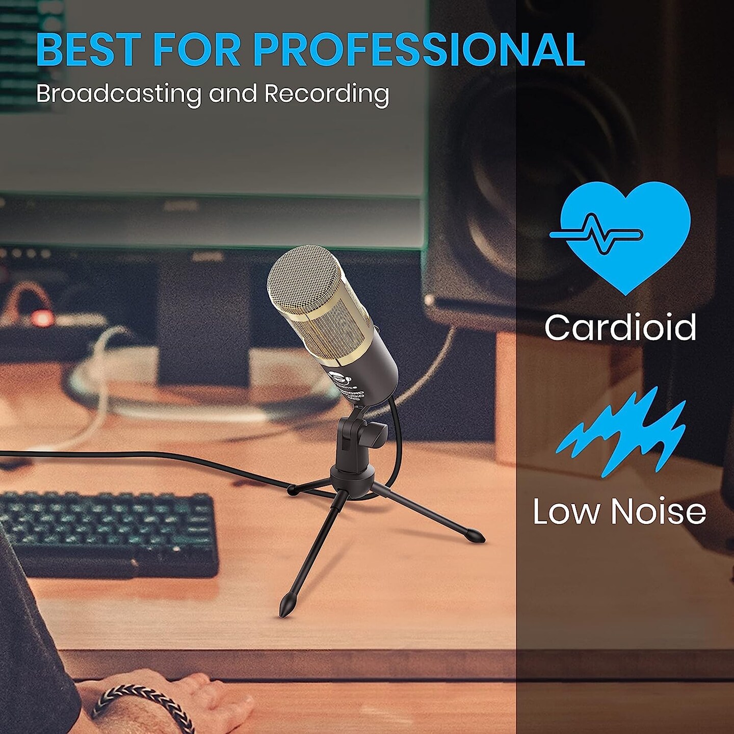 IDANCE RECORD STUDIO MIC 1