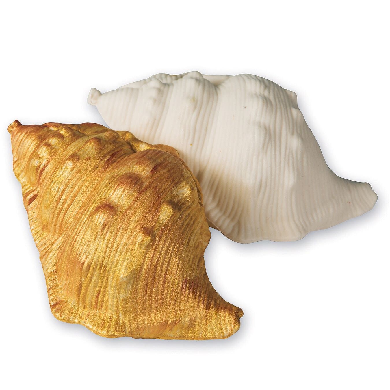 Color-Me&#x2122; Seashells (Pack of 12)