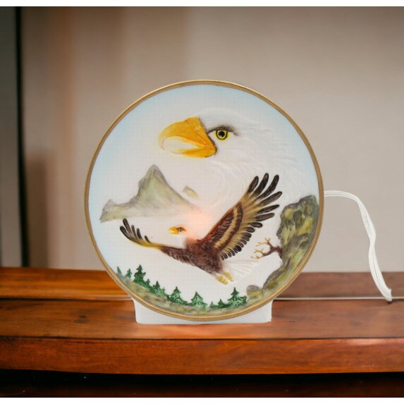 kevinsgiftshoppe Hand Painted Ceramic Bald Eagle Nightlight Home Decor ...