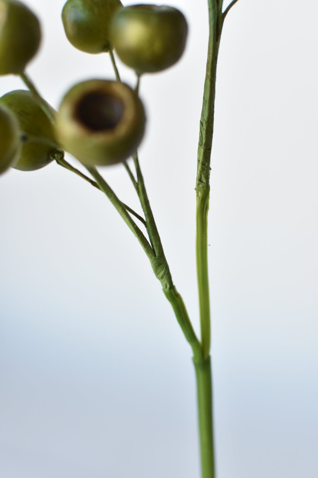 19&#x22; Faux Green Pod Stem