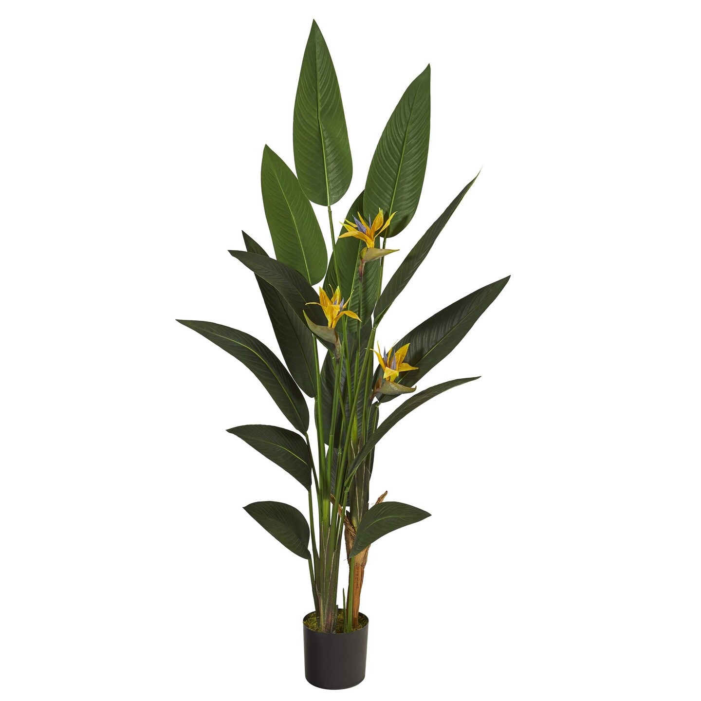 6ft. Bird of Paradise Artificial Plant Michaels