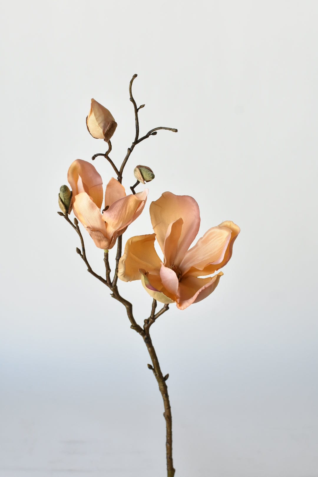 19&#x22; Faux Magnolia Stem Light Orange/Pink