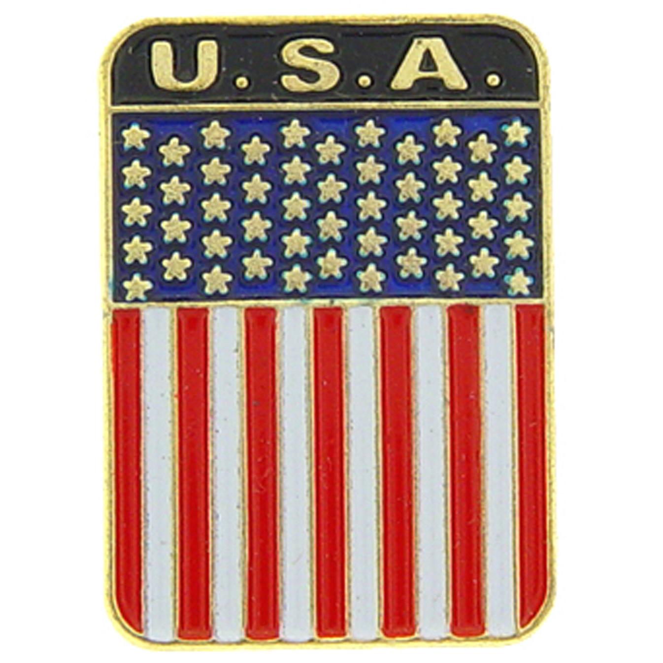 American Flag Pin 1