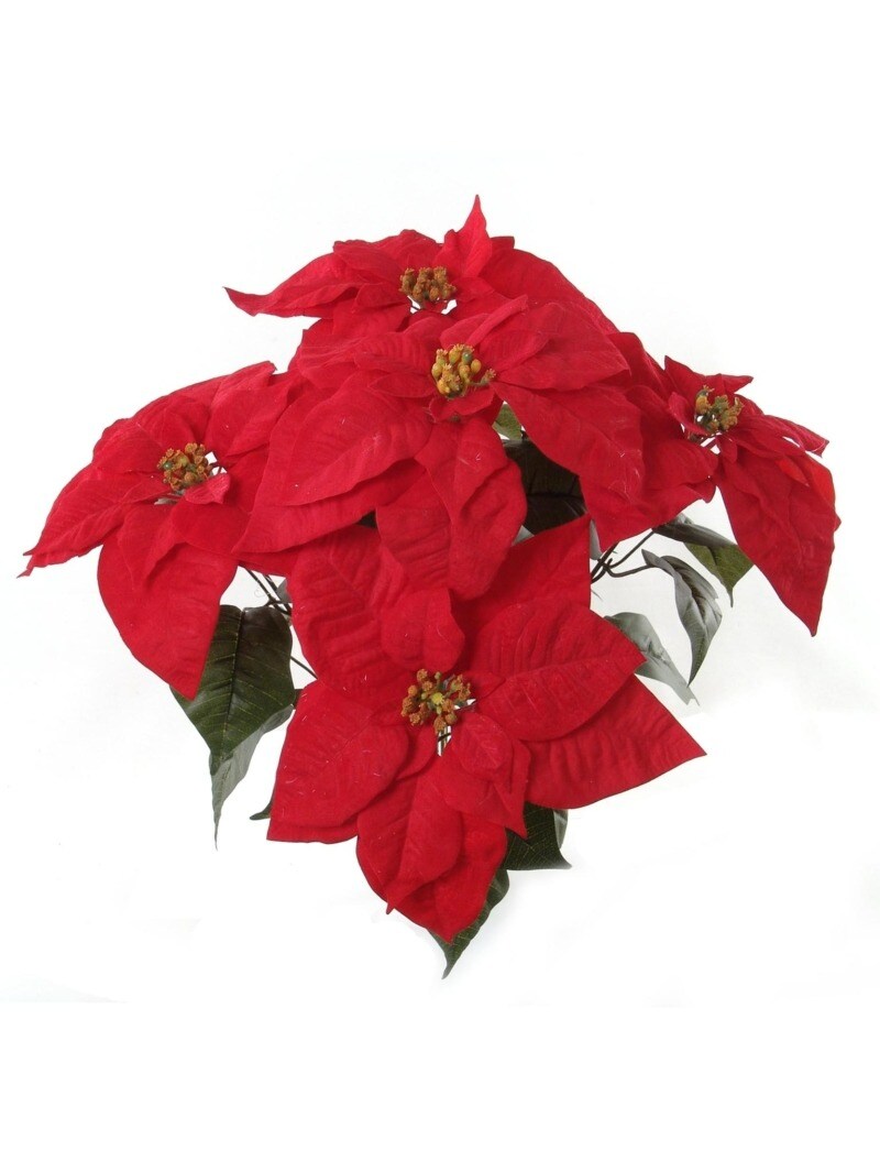 Poinsettia Luxury Fabric Store