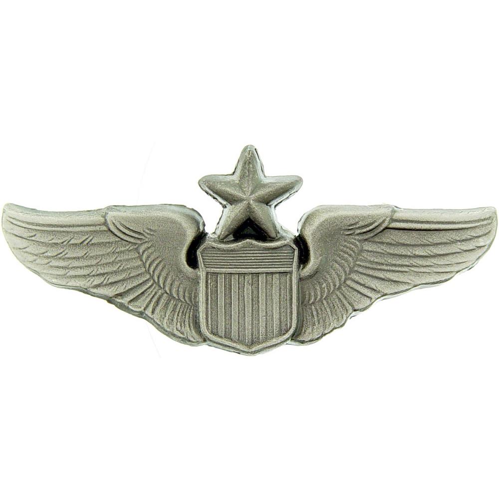 EagleEmblems P16521 Wing-USAF,Pilot,Senior (2'') | Michaels