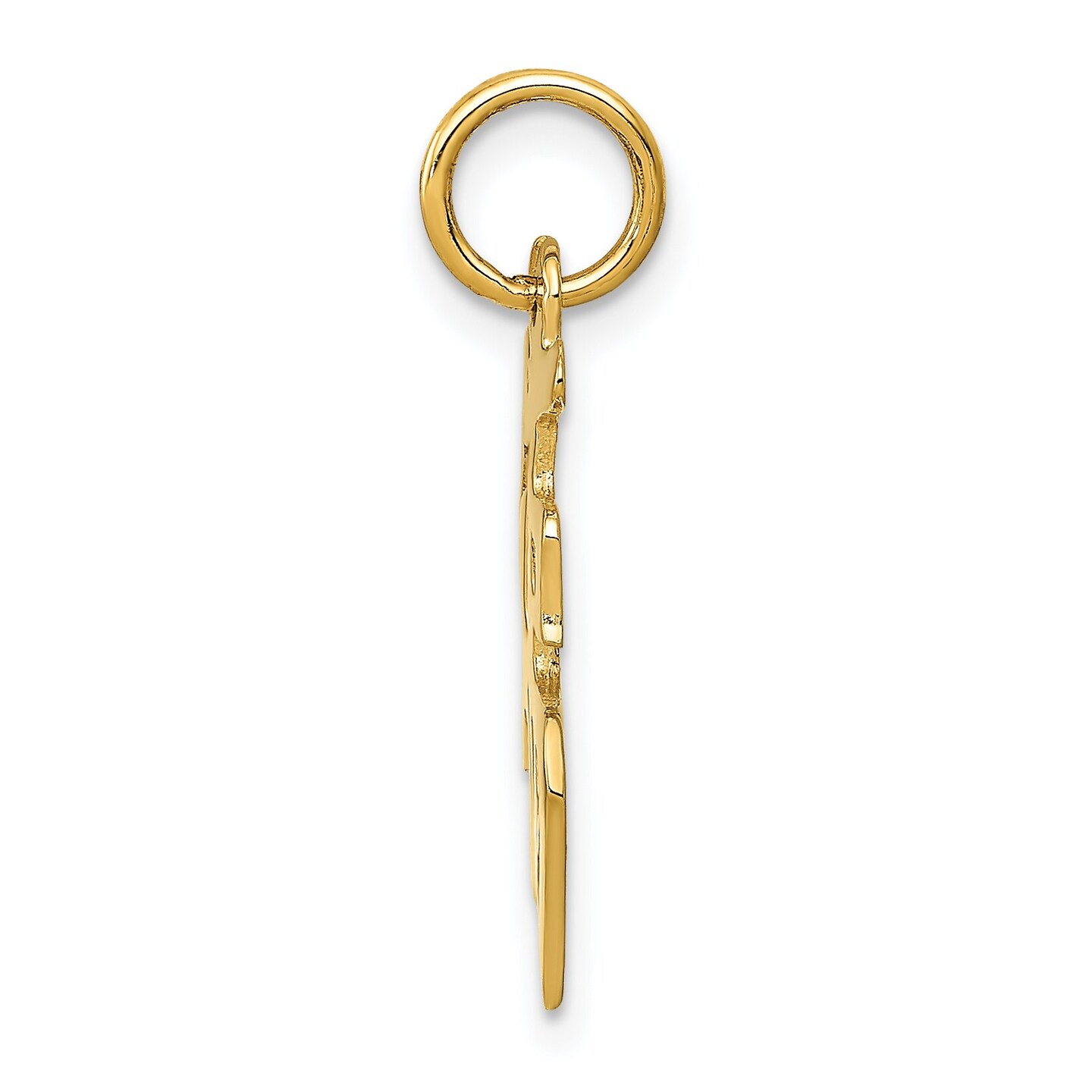 14K Yellow Gold Good Luck Symbol Charm Polished Jewelry 20mm x 15mm